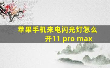 苹果手机来电闪光灯怎么开11 pro max